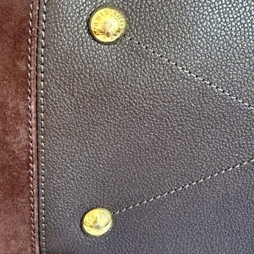 Louis Vuitton Audacieuse MM 🌟 - Picture 10 of 16